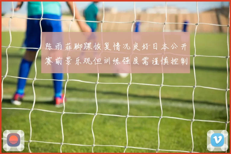 陈雨菲脚踝恢复情况良好日本公开赛前景乐观但训练强度需谨慎控制